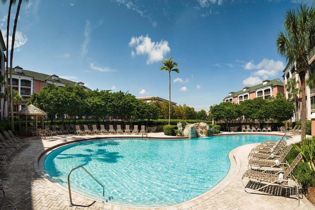 piscina do Caribe Royale Orlando, um dos melhores hotéis em Orlando, com bordas arredondadas, espreguiçadeiras ao redor e ambiente arborizado ao fundo