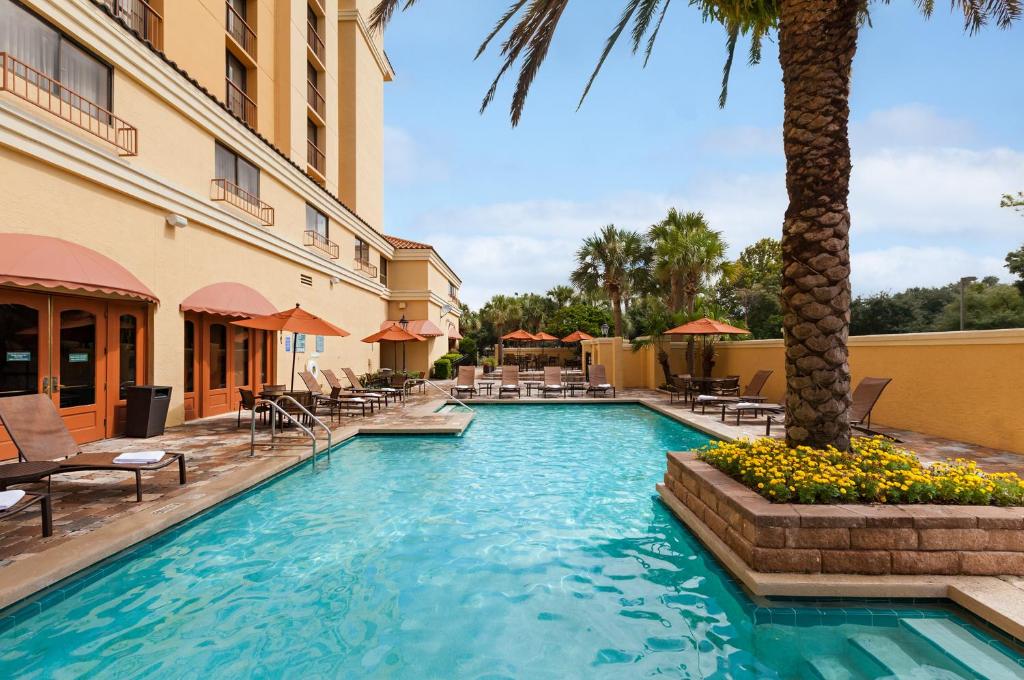 piscina com bordas retas, cadeiras e uma palmeira que faz parte da paisagem do Embassy Suites by Hilton Orlando International Drive Convention Center, um dos hotéis na International Drive em Orlando