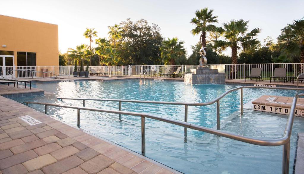 palmeiras ao fundo de uma piscina retangular com rampa de acesso no Hyatt Place Orlando/Lake Buena Vista, um dos hotéis perto de Lake Buena Vista em Orlando