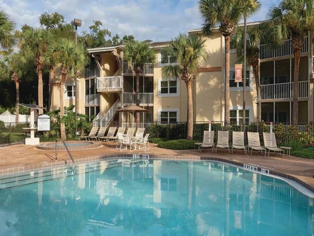 fachada com piscina de bordas arredondadas e escadinha, além de espreguiçadeiras e palmeiras ao redor no Sheraton Vistana Resort Villas, Lake Buena Vista Orlando, um dos hotéis perto de Lake Buena Vista em Orlando