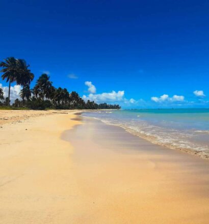 Praia de São Miguel dos Milagres, sendo do lado esquerdo o mar azul com poucas ondas, no meio um banco de areia branco e à direita tem coqueiros balançando com o vento
