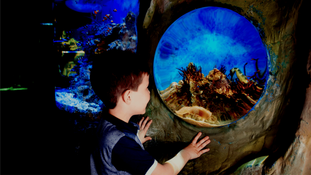 Um menino parado de frente para um aquário no Sea Life London Aquarium