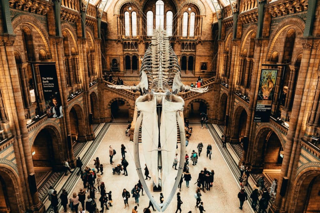 Parte interna do Museu de História Natural de Londres, uma construção antiga, com um esqueleto enorme pendurado no teto do local, com pessoas circulando embaixo