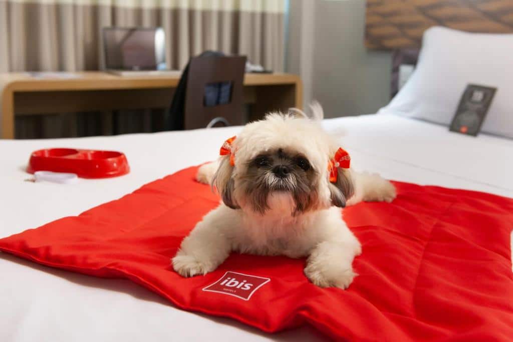 Cachorro em cima de uma cama de hotel com manta vermelha com logo da rede de hotéis Ibis.