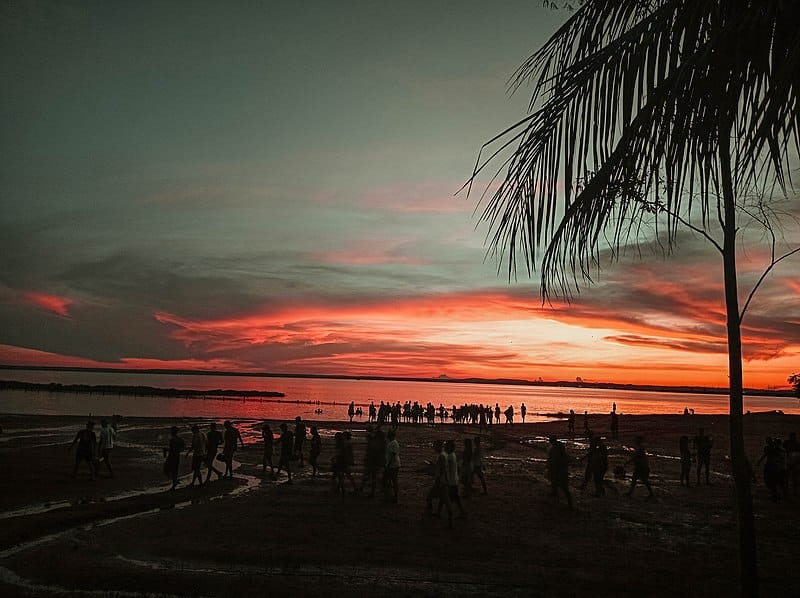 Praia da Graciosa durante o pôr do sol. É possível ver o mar, uma árvore no canto da imagem e várias pessoas andando pela areia.
