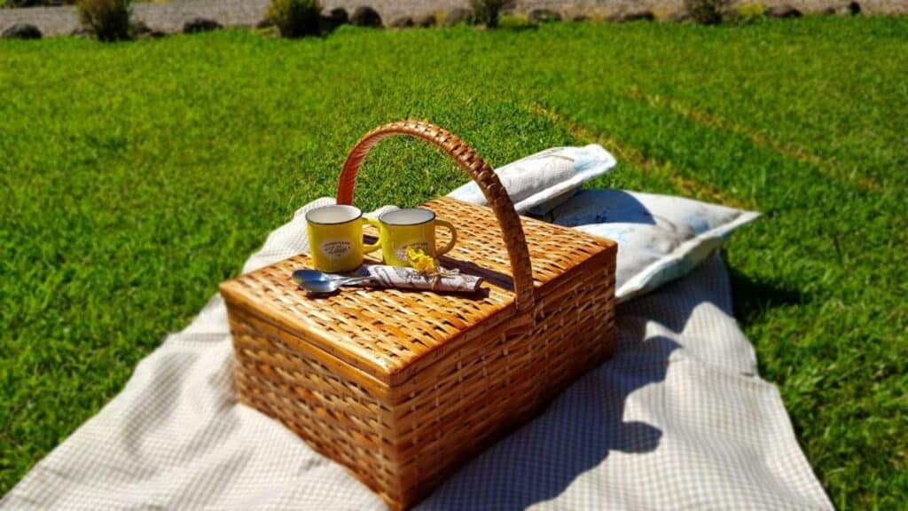 Cesta de café da manhã posicionada sobre toalha de piquenique, com almoçadas ao fundo, gramado em volta, e duas xícaras e duas colheres sobre a cesta, no café da manhã da Casa Vêneto