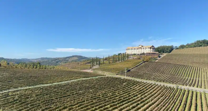 Hotel Spa do Vinho, em Bento Gonçalves, visto ao fundo, com vinhedos por todos os arredores da propriedade, em um dia de céu azul límpido na Serra Gaúcha