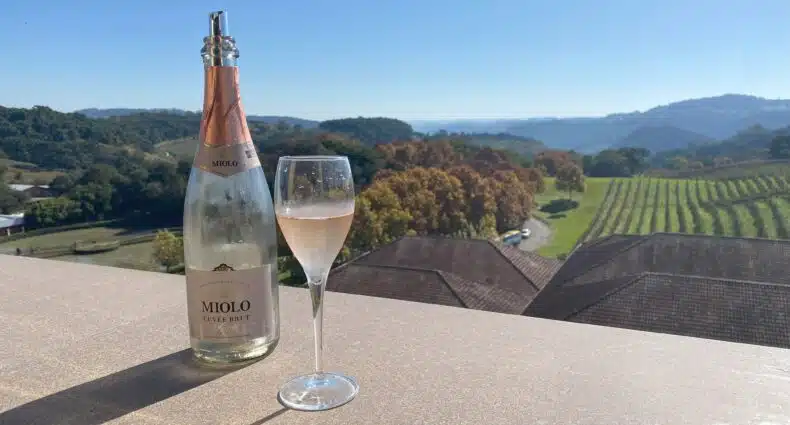 Garrafa de espumante rosé da Miolo, apoiada sobre parapeito da torre da vinícola, com vista para campos verdes embaixo, para ilustrar a capa do post sobre vinícolas em Bento Gonçalves