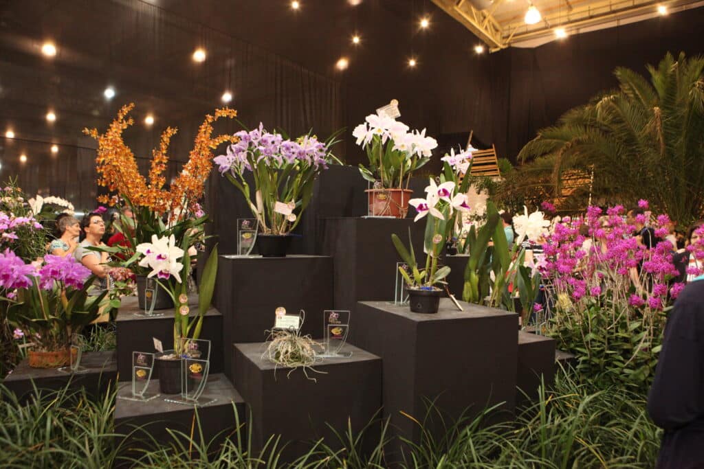 estande de flores com vários vasos de orquídeas e demais espécies, de várias cores, dispostas em diferentes pódios acompanhadas de prêmios de vidro,