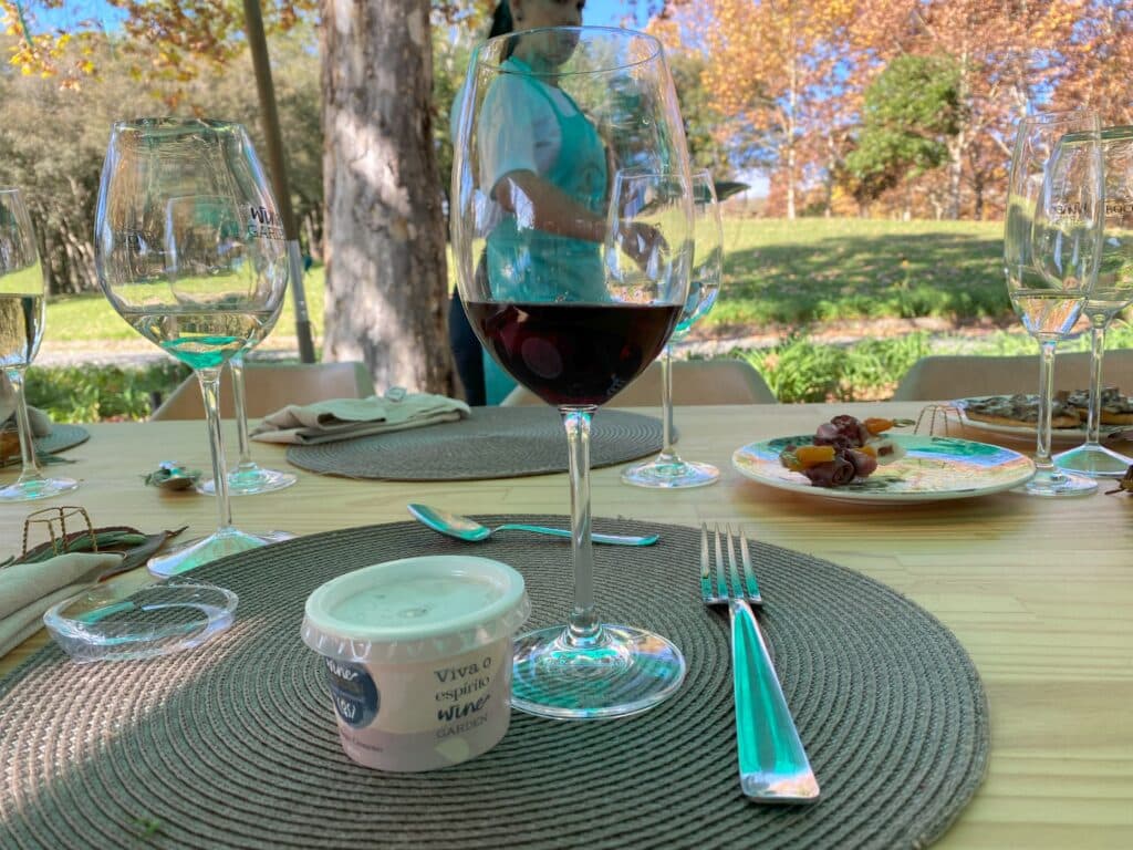 Taça de vinho e um potinho com gelato artesanal no Wine Garden Miolo