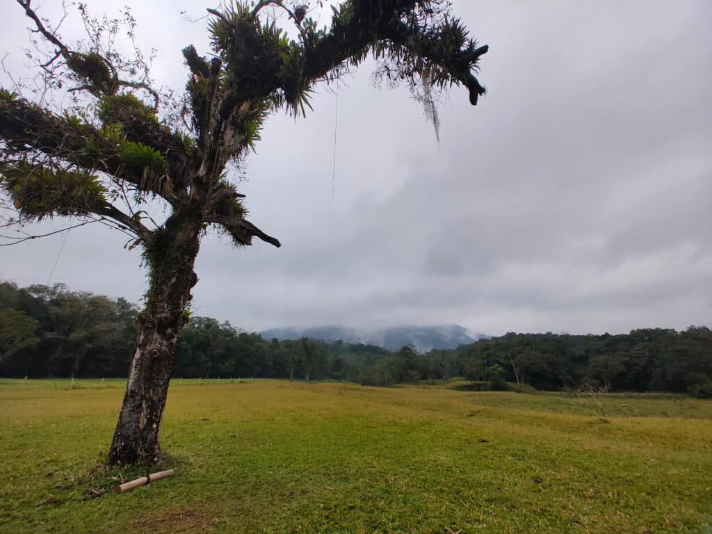 árvore podada com um grande balanço rústico à esquerda da imagem. Ao fundo há um amplo gramado verde, várias árvores e algumas montanhas encobertas pelas nuvens acinzentadas.