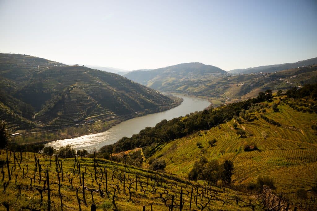 Vista do Vale do Douro, durante o dia com várias plantações de uvas a frente e ao fundo o rio Douro.