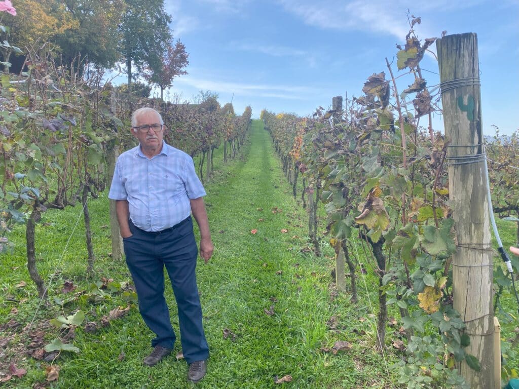 Plínio Pizzato, fundador da vinícola de mesmo nome, em frente às vinhas que ficam na propriedade da vinícola familiar, que é uma das opções de o que fazer em Bento Gonçalves