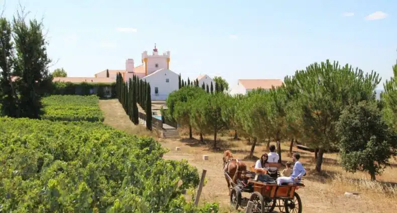 Carroça com um guia e uma família de quatro pessoas em meio a plantação de vinho a céu aberto no Torre de Palma Wine Hotel. Ao fundo há uma grande construção, onde se encontra o hotel. Imagem para ilustrar o post hotéis no Alentejo.
