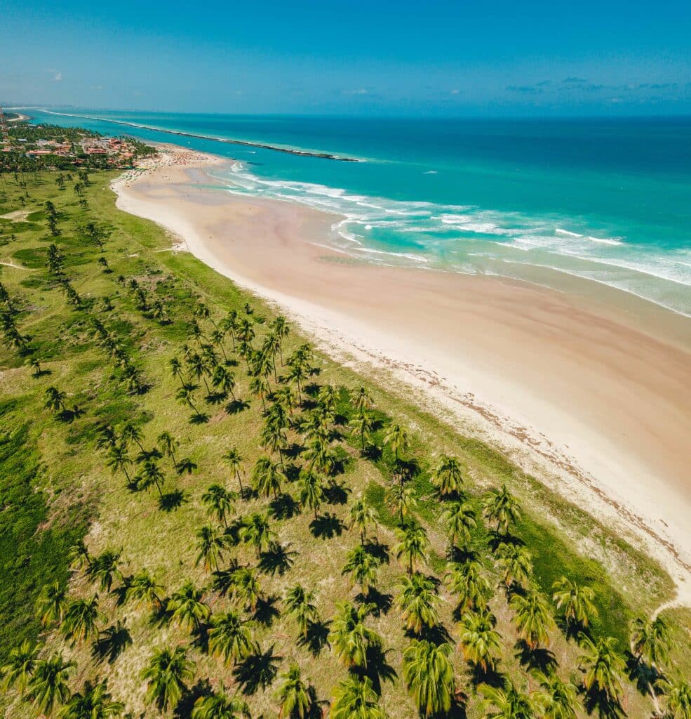 Vista aérea de uma praia em Marechal Deodoro, sendo o lado esquerdo com um gramado com árvores e ao lado direito tem a praia com mar azulado e areia branca