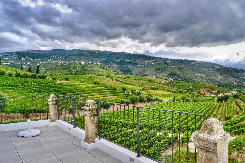Vista da sacada do Quinta da Salada – Turismo Rural durante o dia com a plantação de vinhas a frente.