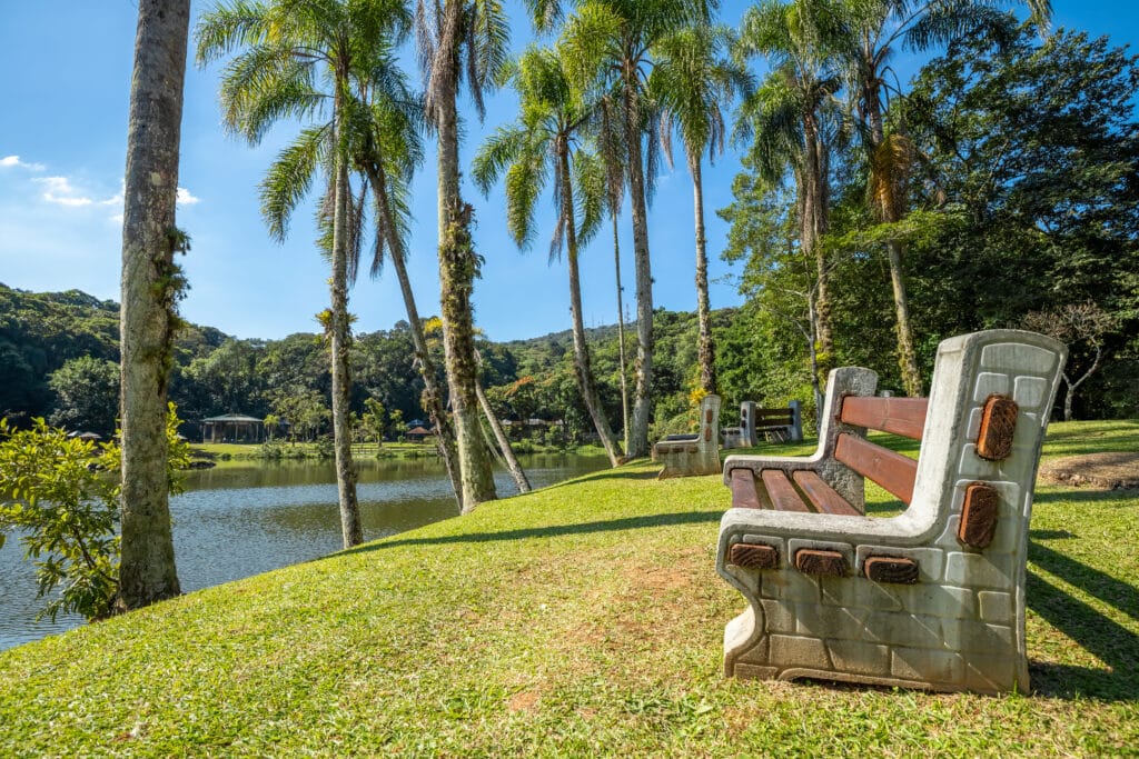 banco de cimento e madeira no lado direito da imagem do Zoobotânico de Joinville, em frente a um lago com diversas palmeiras ao redor, muita grama e uma bela vegetação verde. O céu está azul e sem nuvens.