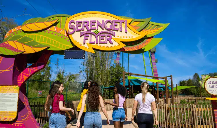 Entrada do Serengeti Flyer, atração do Busch Gardens Tampa, com seis mulheres interagindo e caminhando para o brinquedo