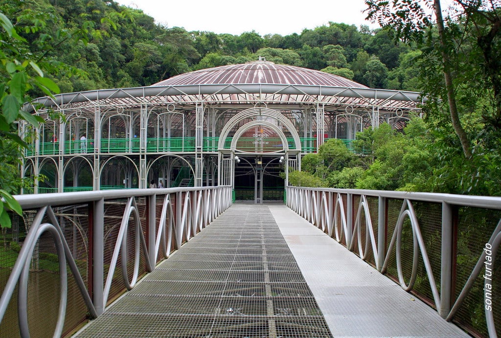 A ponte da entrada da Ópera de Arame. No fundo o prédio. Ao redor o lago e as árvores.