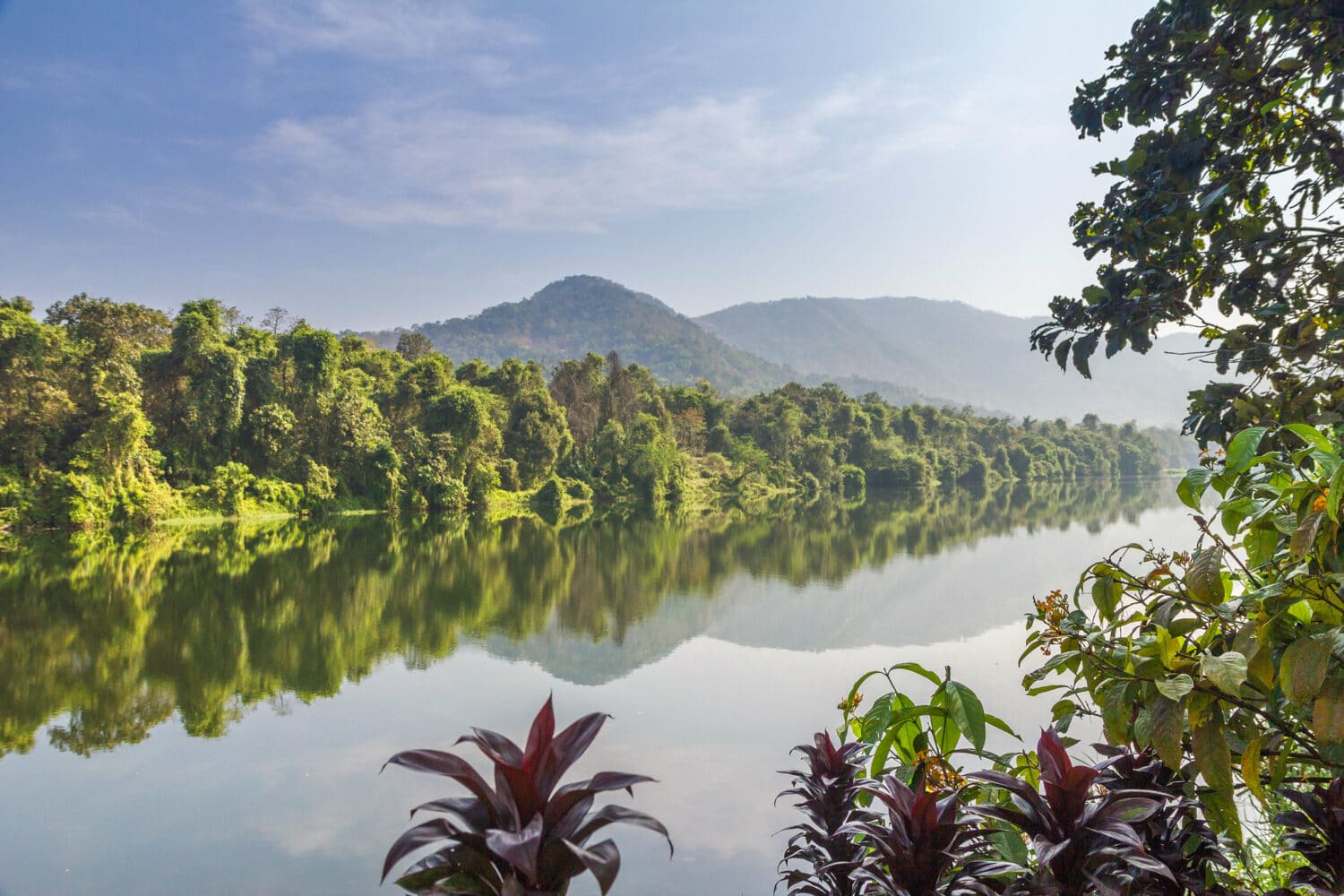 Periyar River, em Kerala, e refletindo a imagem de uma montanha, com muitas árvores e plantas nas margens