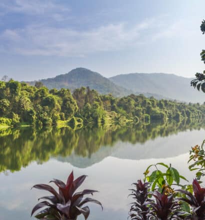 Periyar River, em Kerala, e refletindo a imagem de uma montanha, com muitas árvores e plantas nas margens