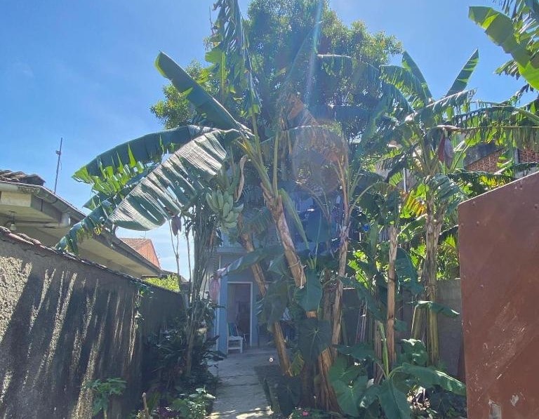 Entrada do Xixová Hostel. Um caminho com árvores, no fundo a porta de entrada.