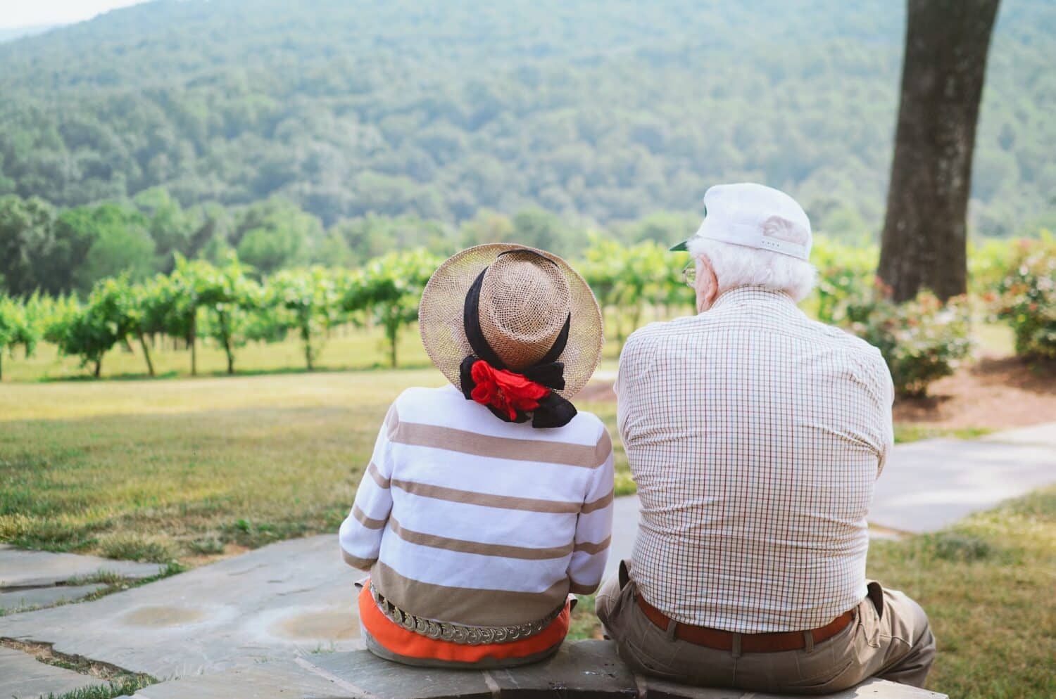 Uma casal de ideosos sentados de frente para árvores e algumas montanhas, para representar seguro viagem para idosos