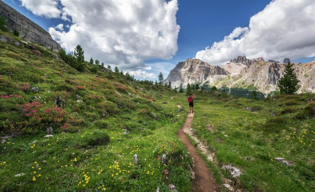 Pessoa caminhando em uma trilha com muita grama e flores coloridas, além de montanhas ao fundo, céu azul com nuvens brancas no Passe Falzarego, na Itália, que pode ser visitado com um Seguro Viagem Allianz em promoção