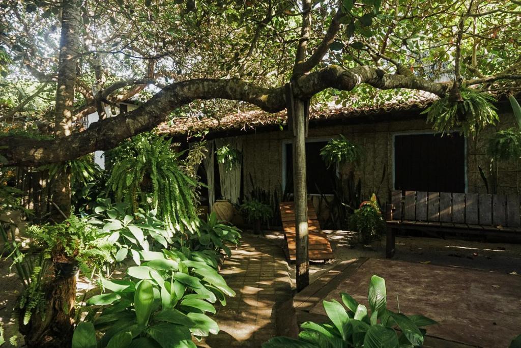 Frente da Pousada Zen Caraiva durante o dia com jardim a frente e ao fundo a estadia. Representa airbnb em Caraíva.