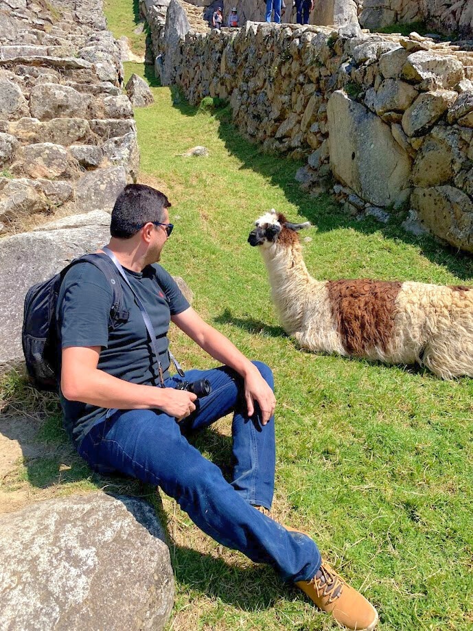 Flávio Antunes sentado sobre algumas pedras de granito, que compõem as ruas de Machu Picchu, olhando para trás, onde uma lhama de tons marrons e bege, está sentada sobre a grama e olhando para ele.