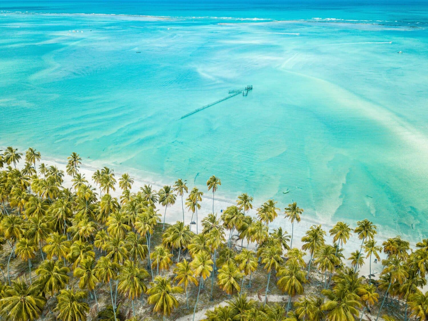 Vista aérea da praia de Maragogi, uma das melhores praias de Maceió. Na imagem, há coqueiros na costa, com uma faixa de areia branca e mar transparente. Está um dia ensolarado