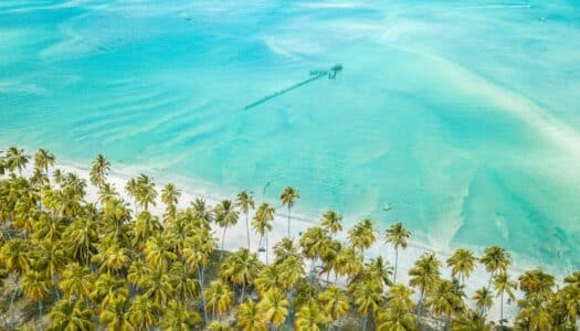 Melhores praias de Maceió e região: As mais imperdíveis