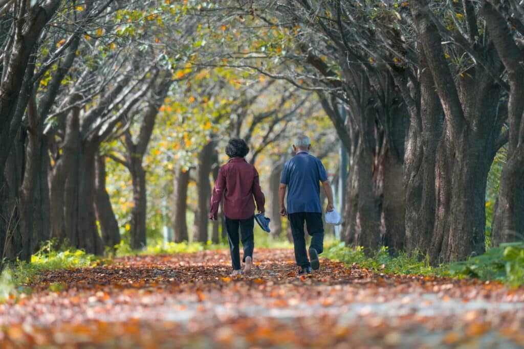 Um casal de idosos caminhando em um parque com árvores dos dois lados, e muitas folhas de árvores caídas formando um caminho
