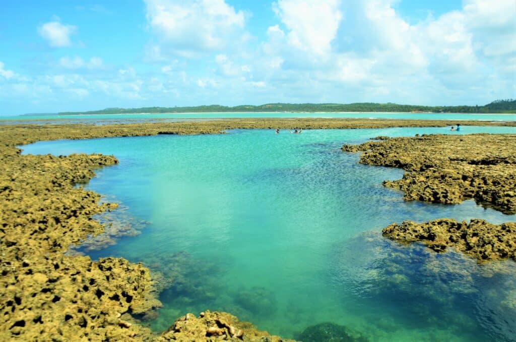 Piscinas naturais da praia do Toque, em São Miguel dos Milagres. A imagem tem barreiras naturais e um mar verde esmeralda transparente no meio, mostrando as pedras no fundo.