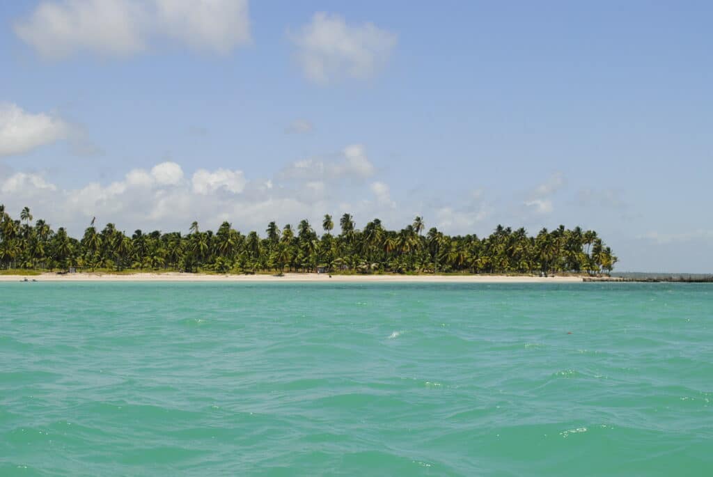 Mar verde esmeralda sem ondas, com a orla ao fundo de areia branca e coqueiras. A praia é a Ipioca, Maceió