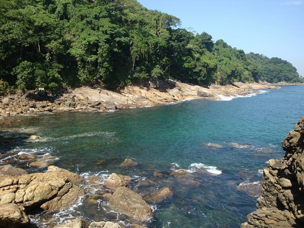 Ondas batendo nas pedras ao redor da praia de Camburizinho. Ao fundo há várias árvores. - Foto: Thiago Tadeu Guedes via Wikimedia Commons