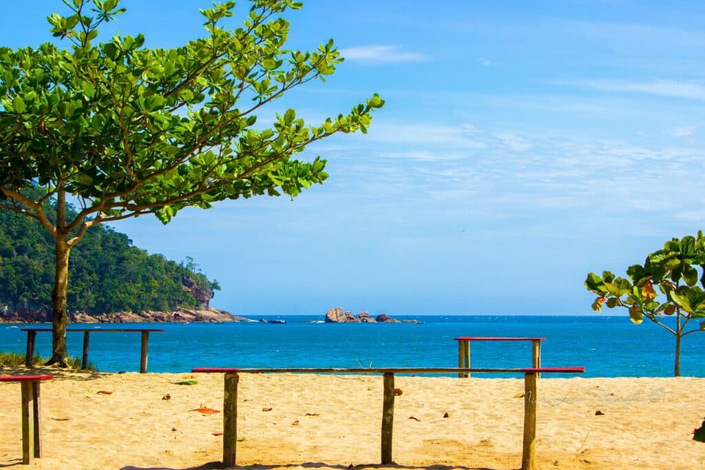 Dia ensolarado na praia do Camburi. Há alguns bancos de madeira no local, e uma árvore em cada lado. Ao fundo é possível ver algumas pedras no mar.