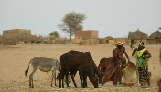 Seguro viagem Níger: Veja os melhores planos