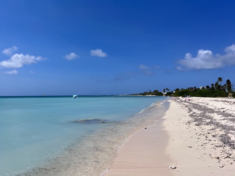 Imagem da praia de Palm Beach durante  dia com área do lado direito e do lado esquerdo o mar. Representa Aruba.