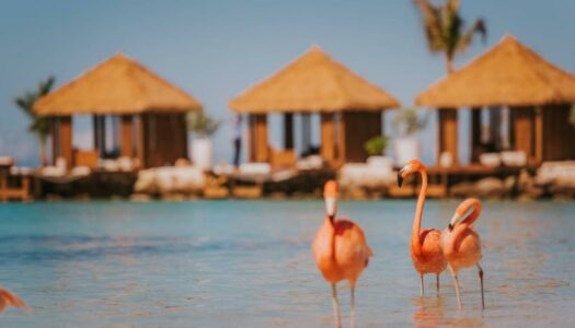 Onde ficar em Aruba: Dicas das Melhores Praias e Hotéis