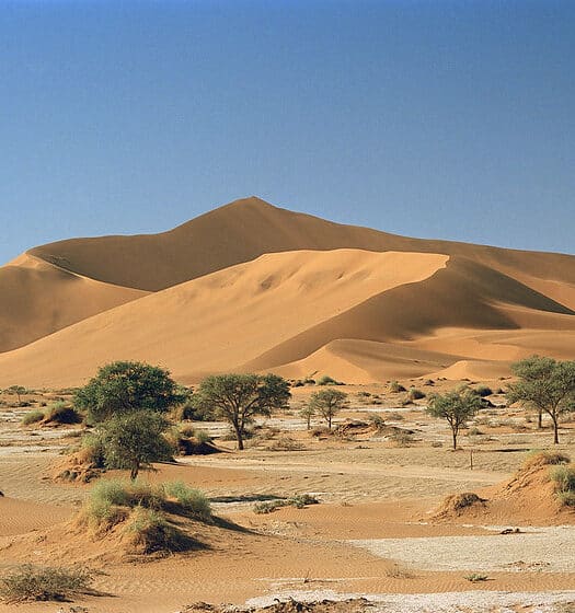Foto durante o dia no deserto de Namíbia, mostrando as dunas de areia. Há algumas árvores também.