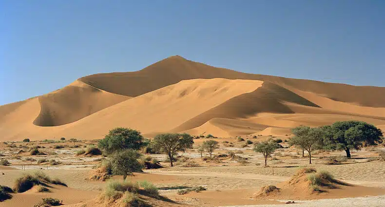 Foto durante o dia no deserto de Namíbia, mostrando as dunas de areia. Há algumas árvores também.