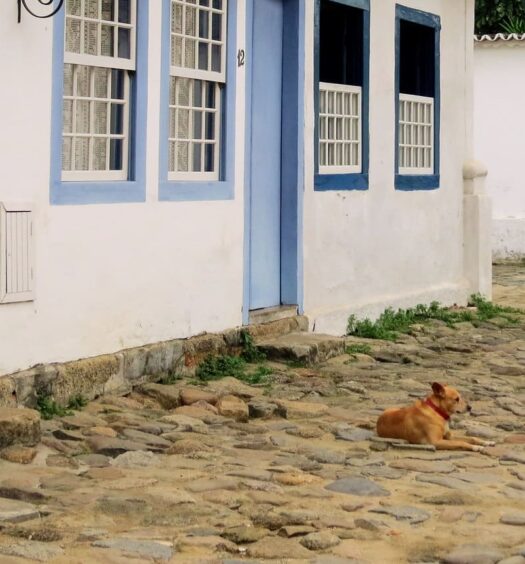 Imagem de uma casa no Centro Histórico de Paraty. A casa está no fundo da imagem e na calçada, feita de pedras, é possível ver um cachorro deitado. Imagem utilizada para ilustrar o post pousadas pet friendly em Paraty.