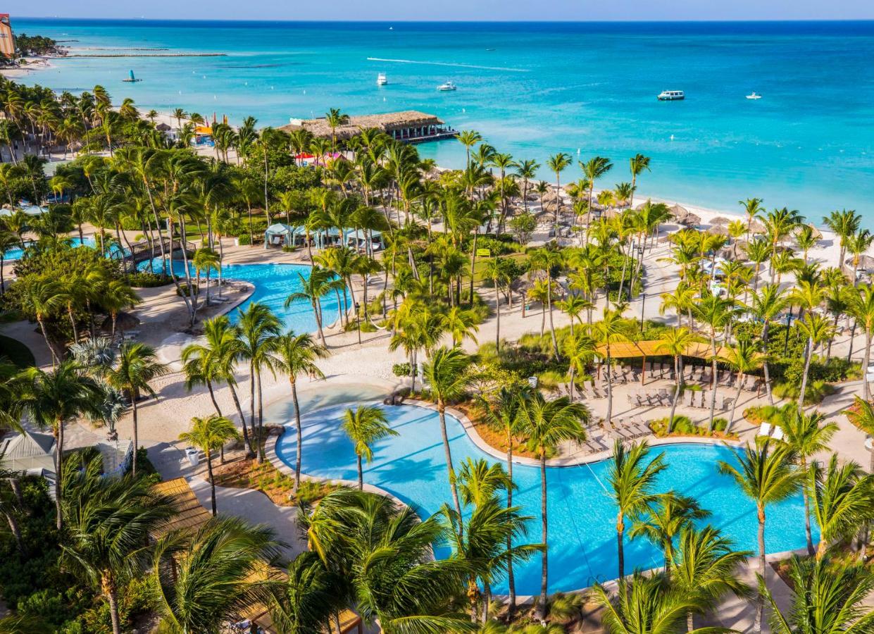 Vista geral das piscinas do Hilton Aruba Caribbean Resort & Casino. Elas estão em um grade ambiente aberto cercado por árvores e espreguiçadeiras e bem ao lado do mar.