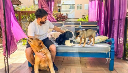 Pousadas Pet Friendly em Santa Catarina: As 12 Melhores