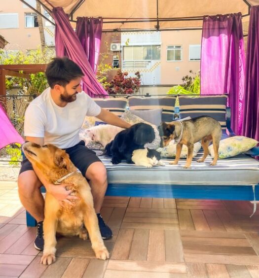 Um homem agachado segurando um cão grande e fazendo carinho em dois cachorros e um gato no Hotel & Pousada Sonho Meu. Foto para ilustrar post sobre pousadas pet friendly em Santa Catarina.