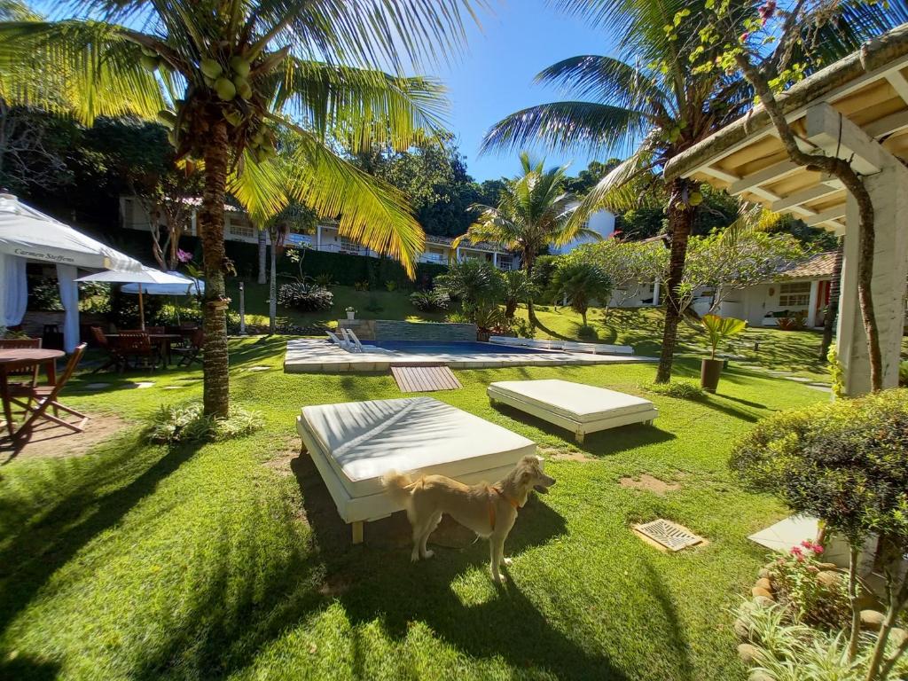 Área externa da Pousada Bucaneiro. Um cachorro no jardim com árvores, no fundo a piscina.
