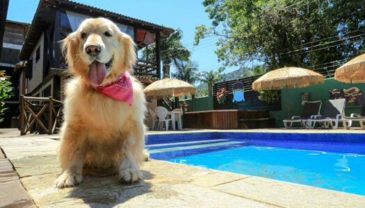 Pousadas Pet Friendly em Maresias: 10 Estadias Incríveis