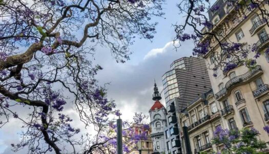 Hotéis 3 estrelas em Buenos Aires: 10 opções imperdíveis