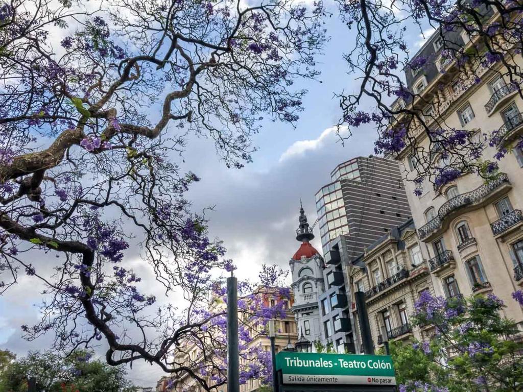 vista da rua do Up Viamonte Hotel, um dos hotéis 3 estrelas em Buenos Aires, com uma placa indicando o Teatro Cólon ao lado, com uma árvore florida em primeiro plano e fachadas históricas ao fundo